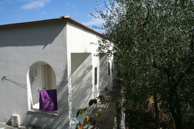 Apartamento Casa Vacanze Pizzone Peschici Exterior foto